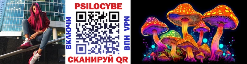 Псилоцибиновые грибы мицелий Бор